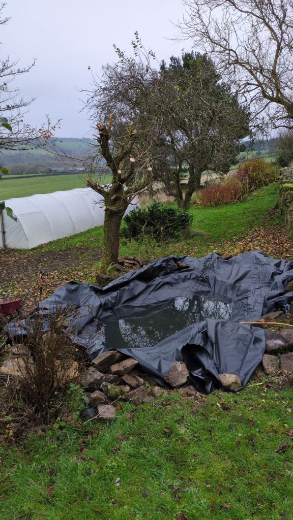 img-20241103-wa00026722141322802365584